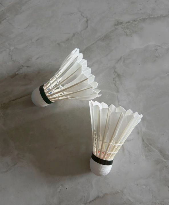 耐打羽毛球“亚狮龙70”羽毛球🏸️