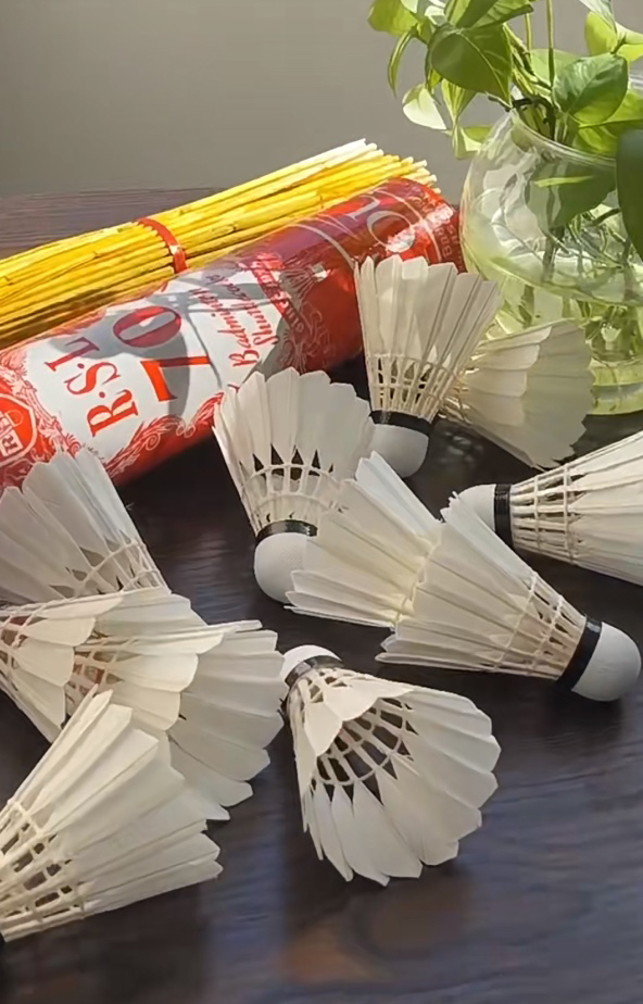 🏸亚狮龙RSL70羽毛球，专业玩家的首选！