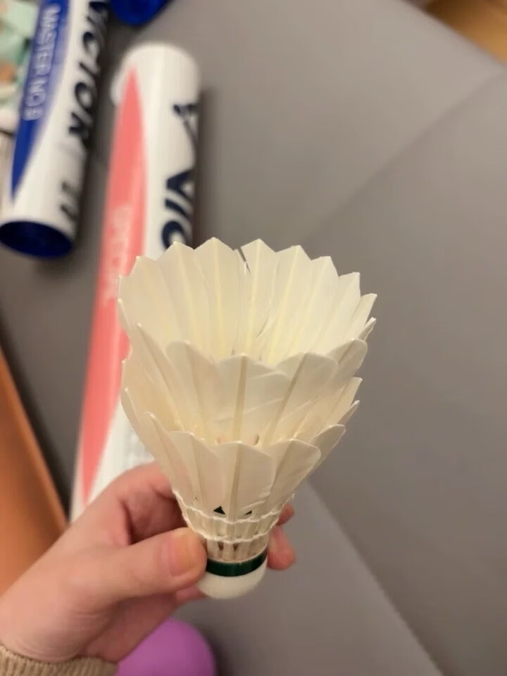 贵气的金色羽毛