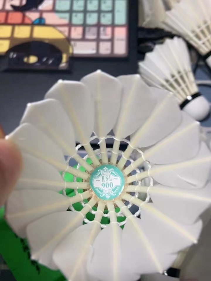 亚狮龙羽毛球是高品质竞技之选