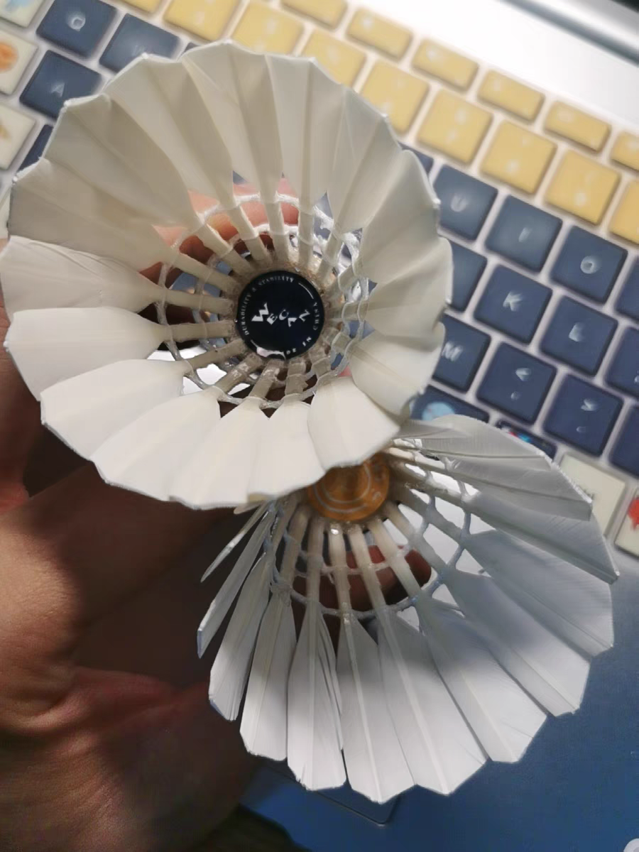 大家快去get这个性价比超高的羽毛球！