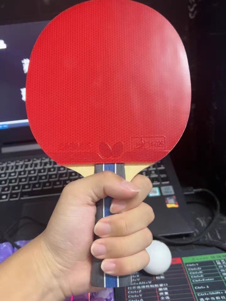 乒乓之乐，无可替代