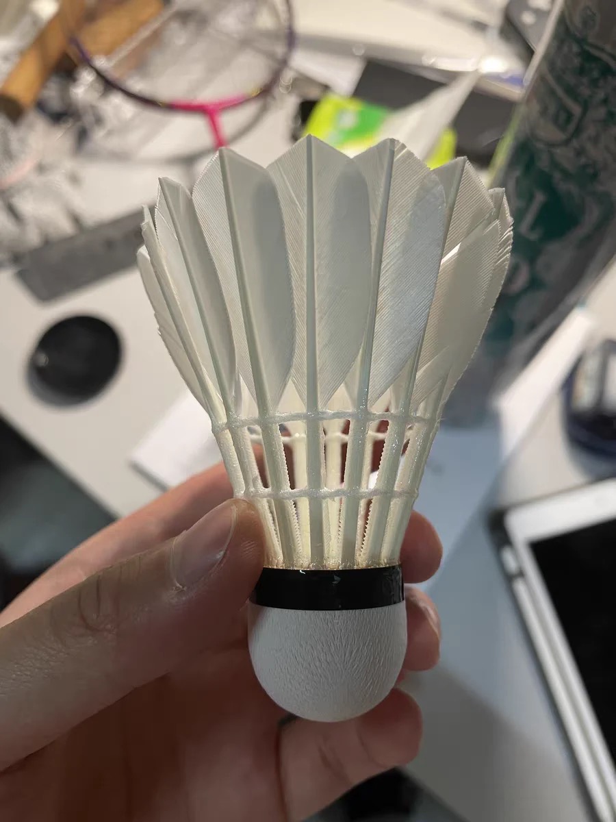 亚狮龙羽毛球，高品质的选择