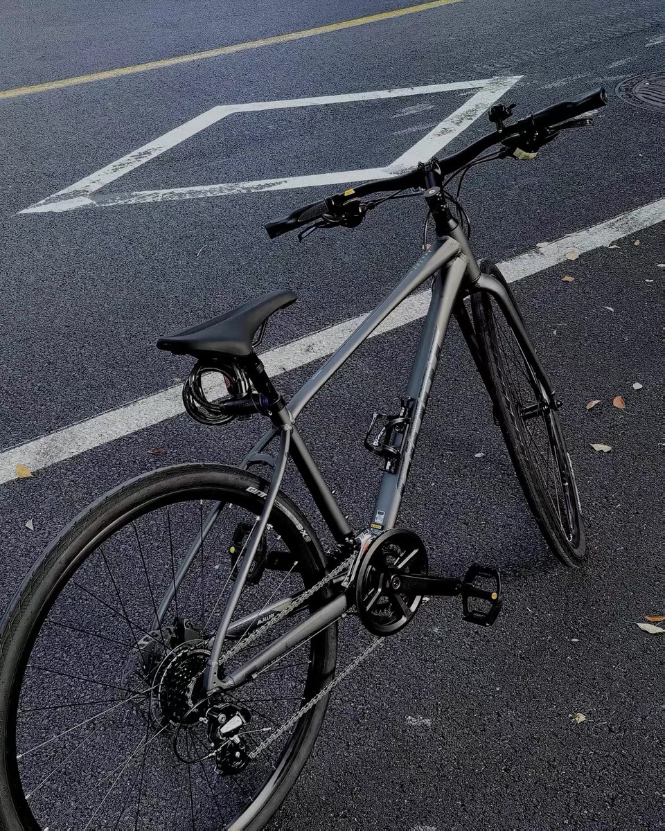 捷安特休闲通勤公路自行车——轻松驾驭城市风景