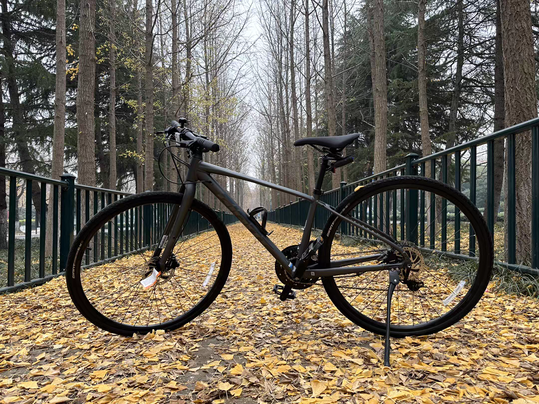 他好帅，我好爱