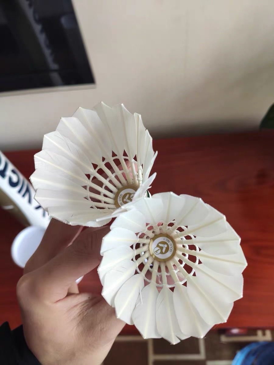 威克多金黄系列羽毛球——极致稳定，助我翱翔赛场