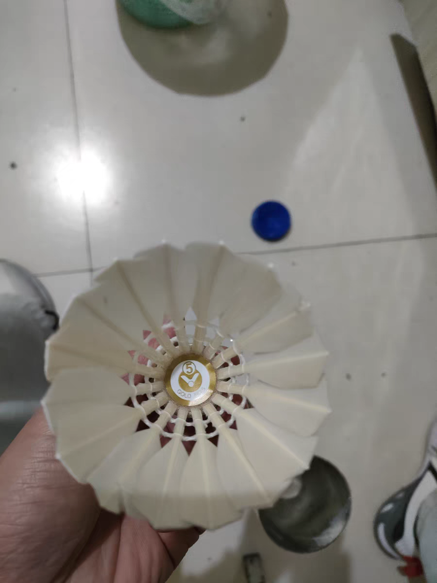 超适合新手进阶鸭毛羽毛球！！