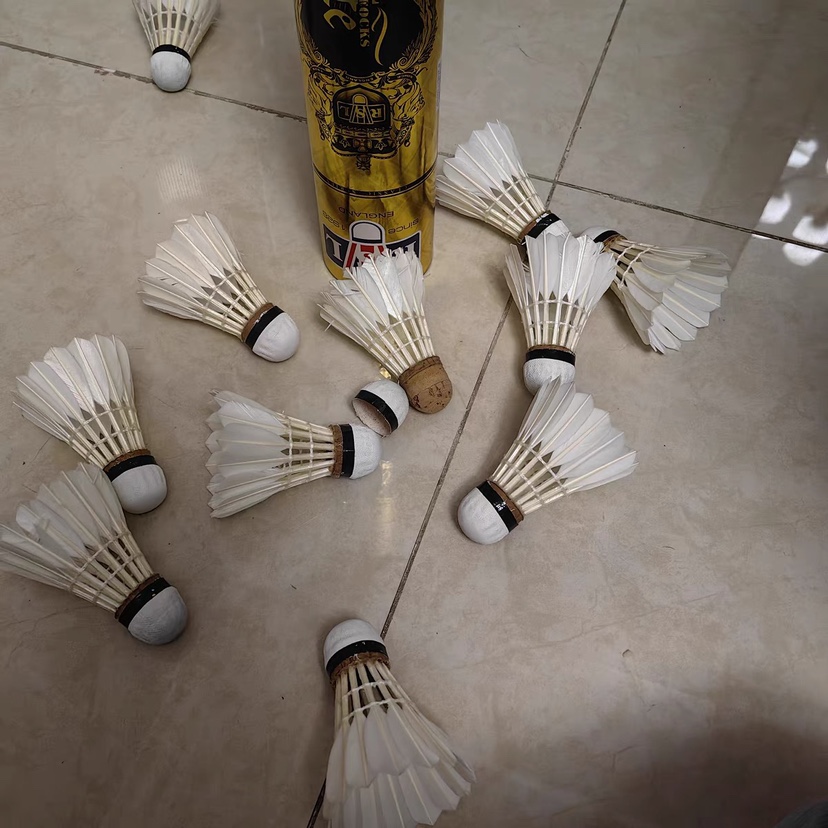 简直是羽毛球界的“爱马仕”