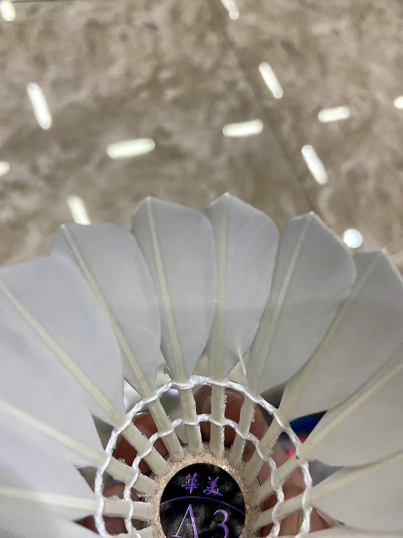 华美羽毛球，运动伴侣
