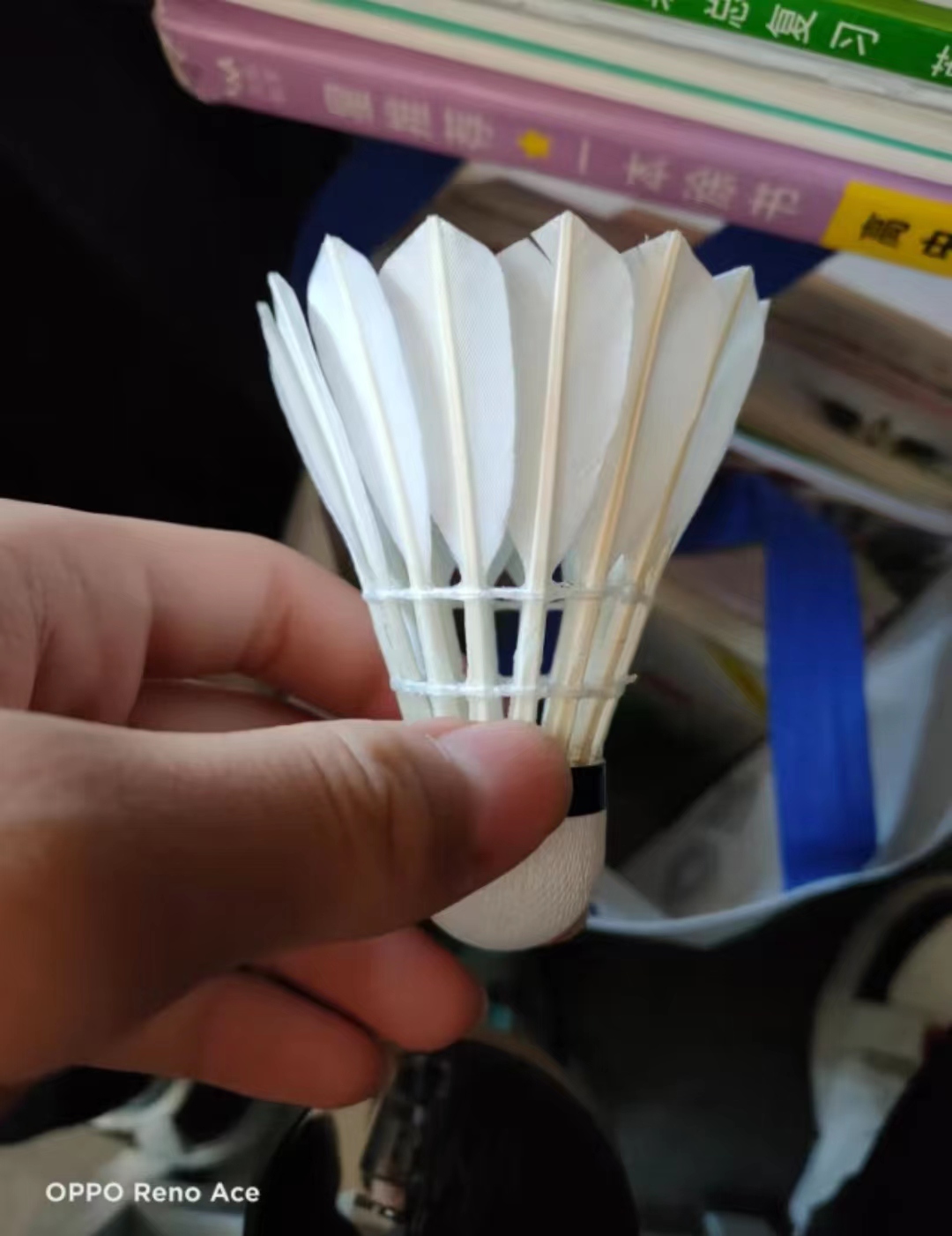 亚狮龙RSL8 号羽毛球：持久陪伴，见证我的羽毛球辉煌！