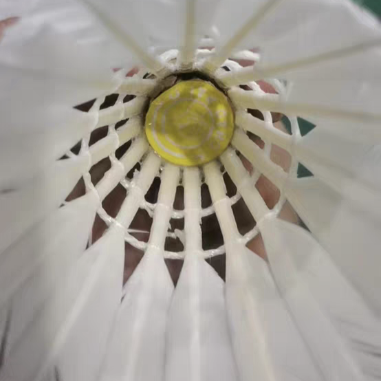 鹅毛羽毛球🏸️想省钱又高质量就看这篇💖💖