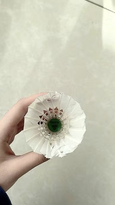高颜值羽毛球！