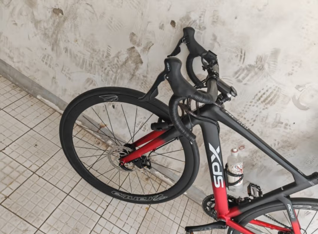 周末小旅行的伴侣