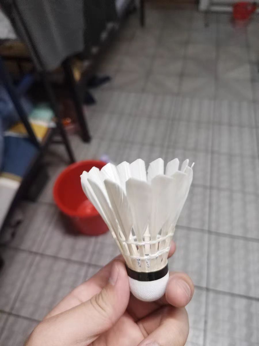 亚狮龙，YYDS！！！