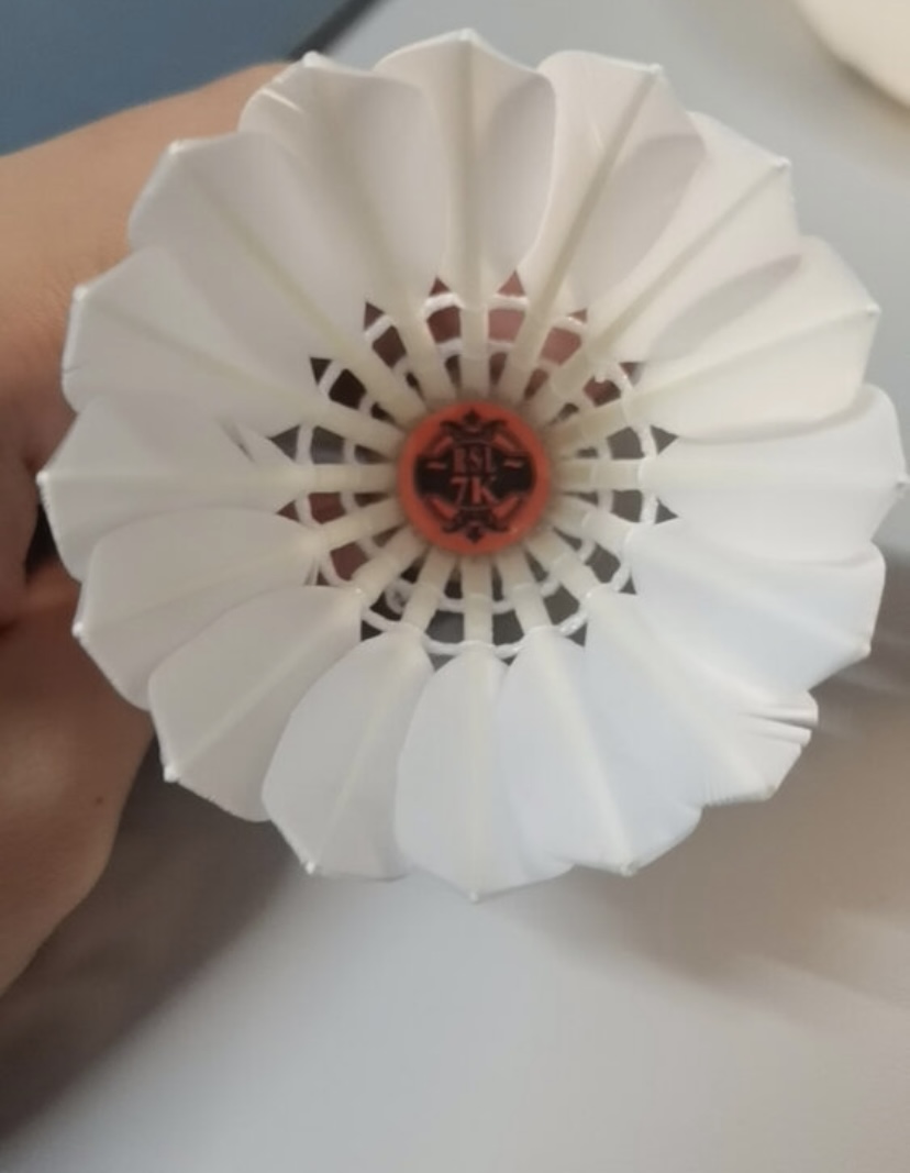 误打误撞入了一桶新的羽毛球
