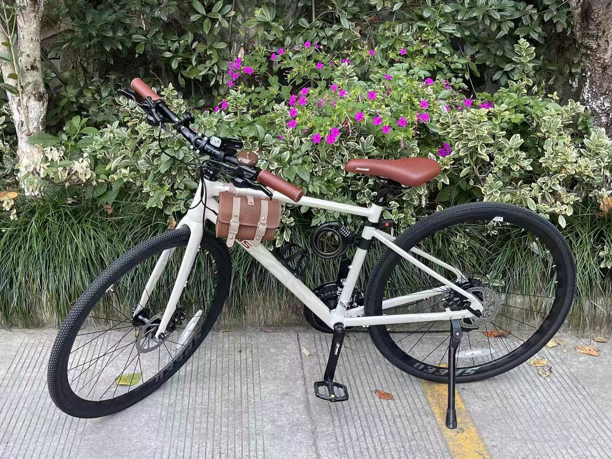 我那漂亮的车车