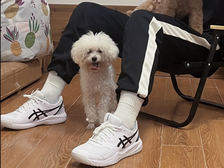 asics这几年真的是全面开花了