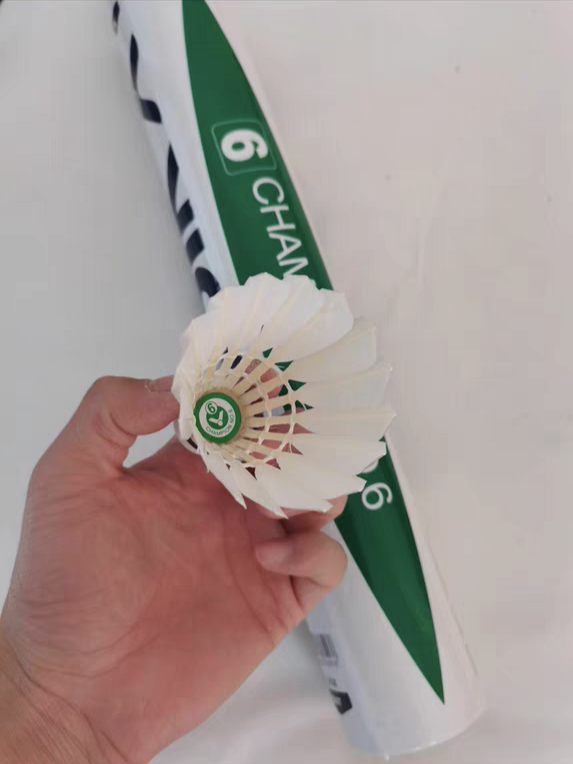 威克多6号训练球🏸️羽毛球试用报告