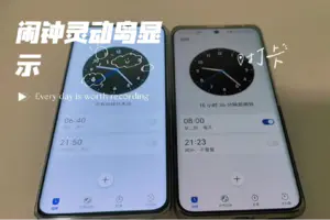 荣耀100灵动胶囊