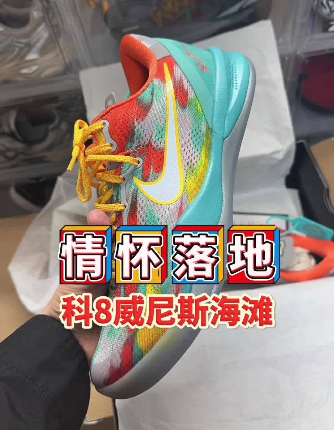 学生时代的奇趣蛋,科8威尼斯海滩到手