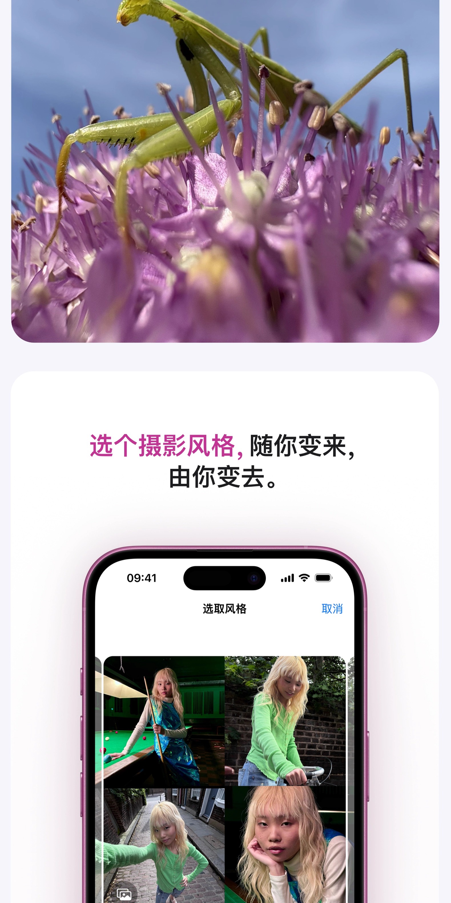 识货商品介绍图