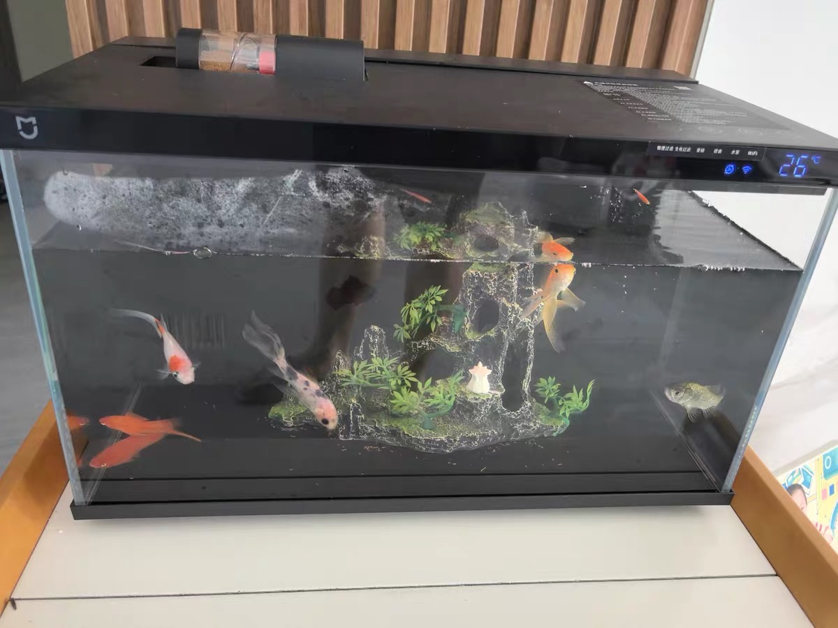 超好用的智能鱼缸，喜欢养鱼的朋友一定不要错过！