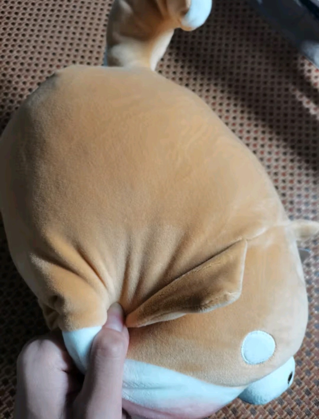 送给同学的礼物😜
