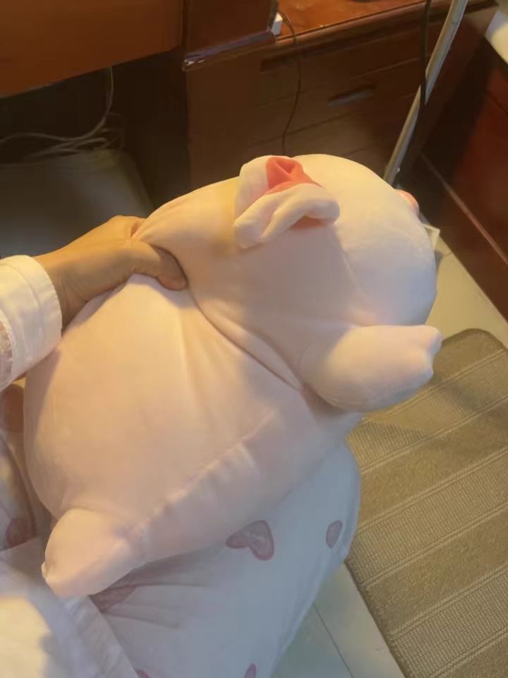 超可爱超柔软小猪猪玩具