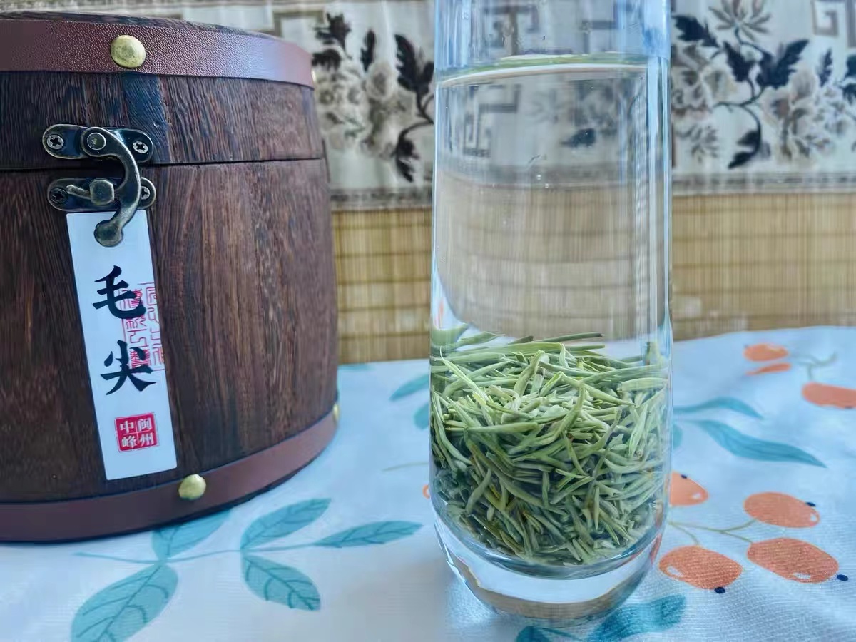毛尖茶  茶香扑鼻，让人陶醉其中