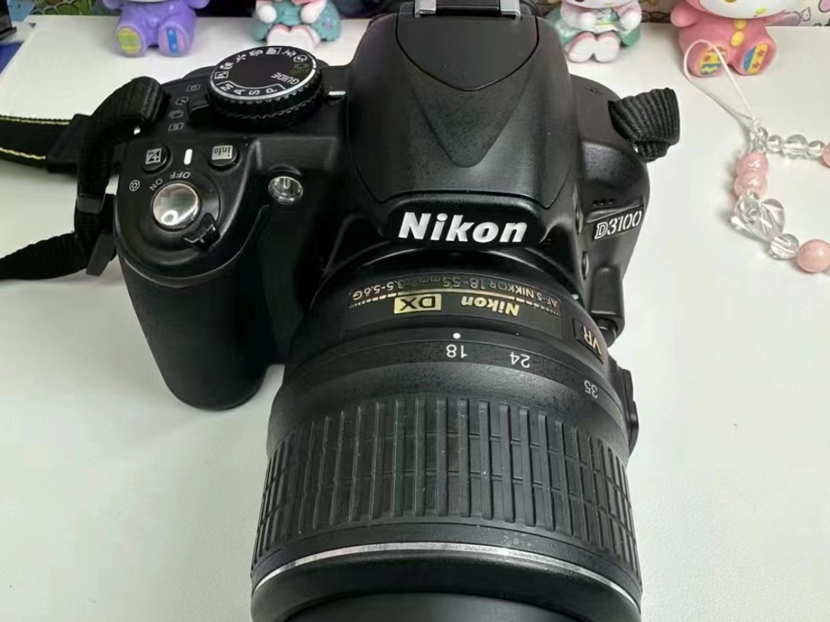 尼康D3100,入门级单反相机，适合旅游摄影