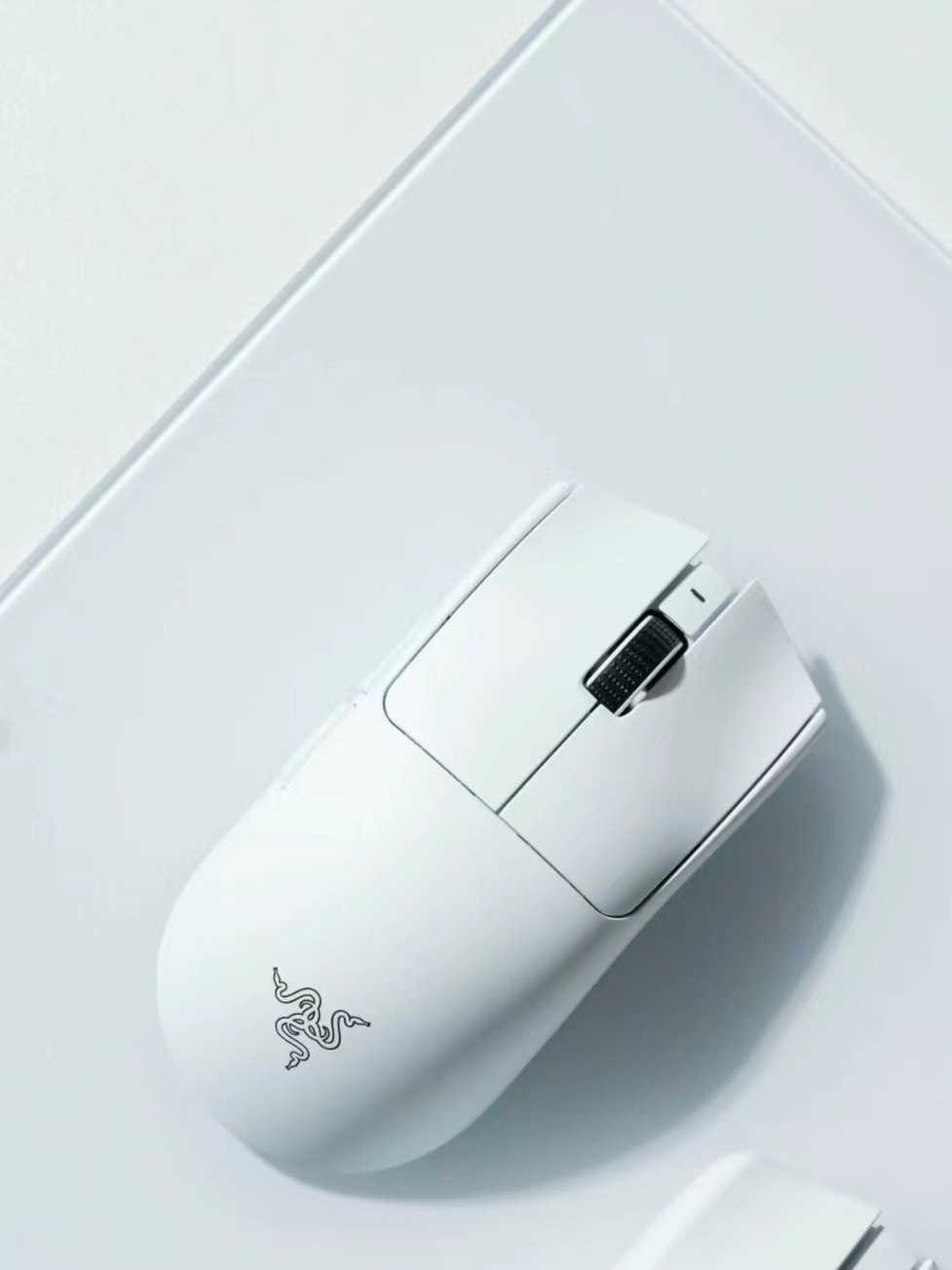 新的毒蝰V3  变化好大！