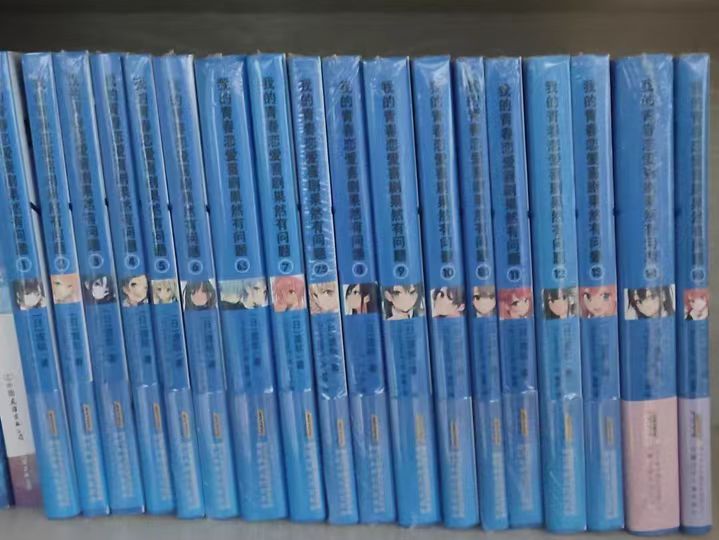 内容很引人入胜的小说《我的青春恋爱喜剧果然有问题》