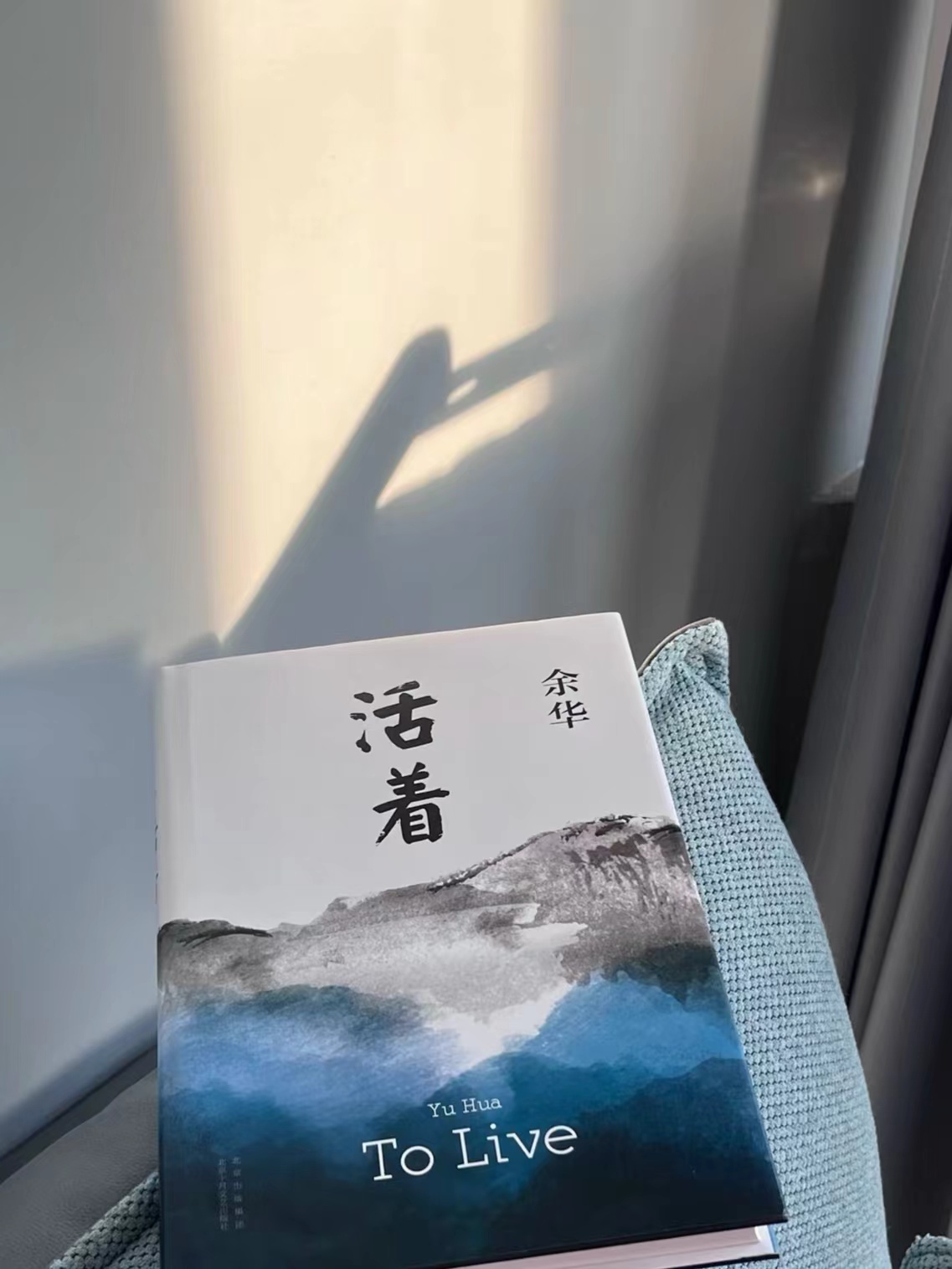 真的很爱余华老师的书籍