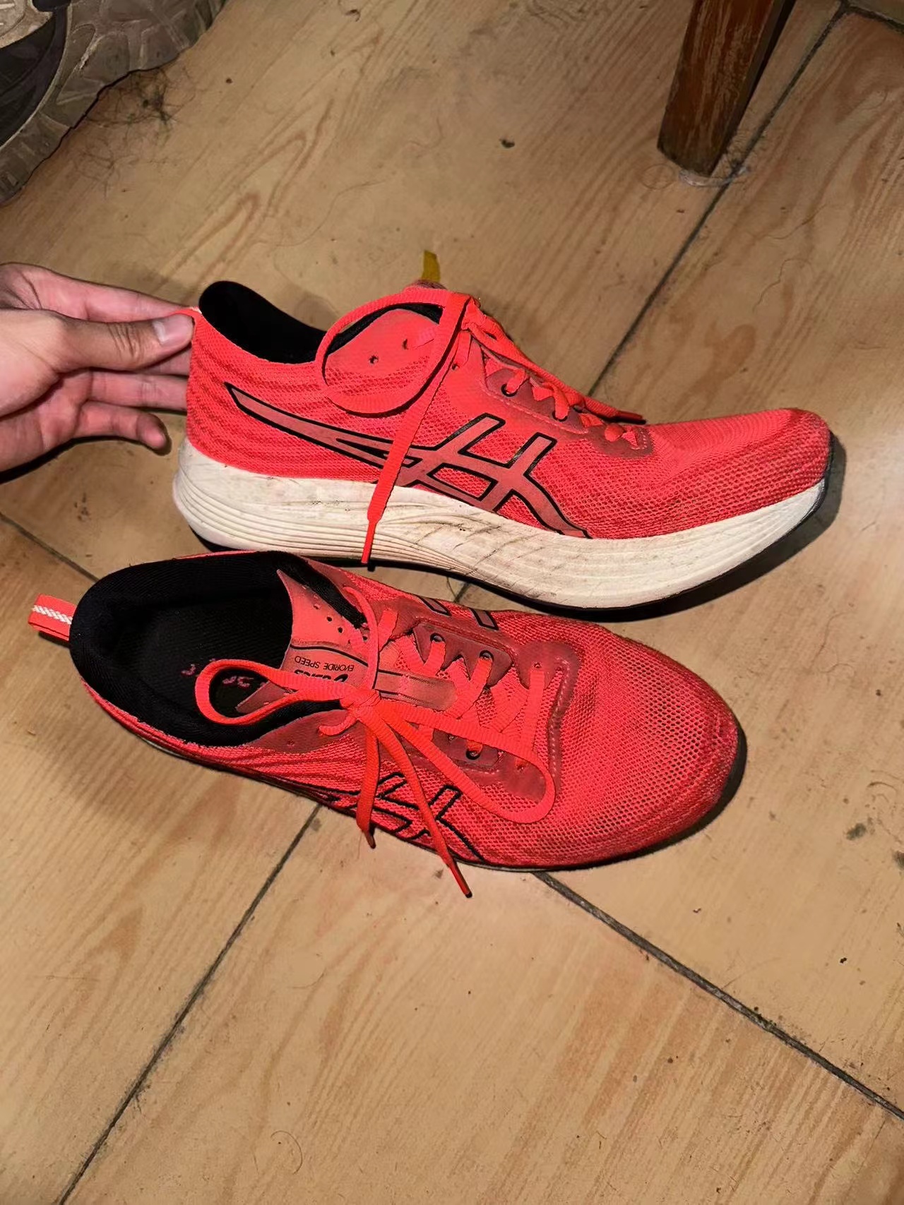 竞速训练跑鞋推荐！