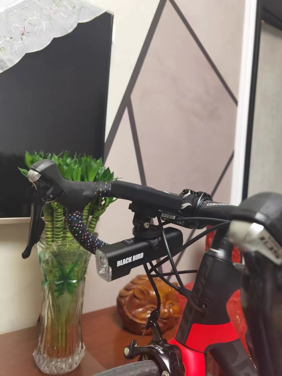 自行车灯就选BLACKBIRD黑鸟