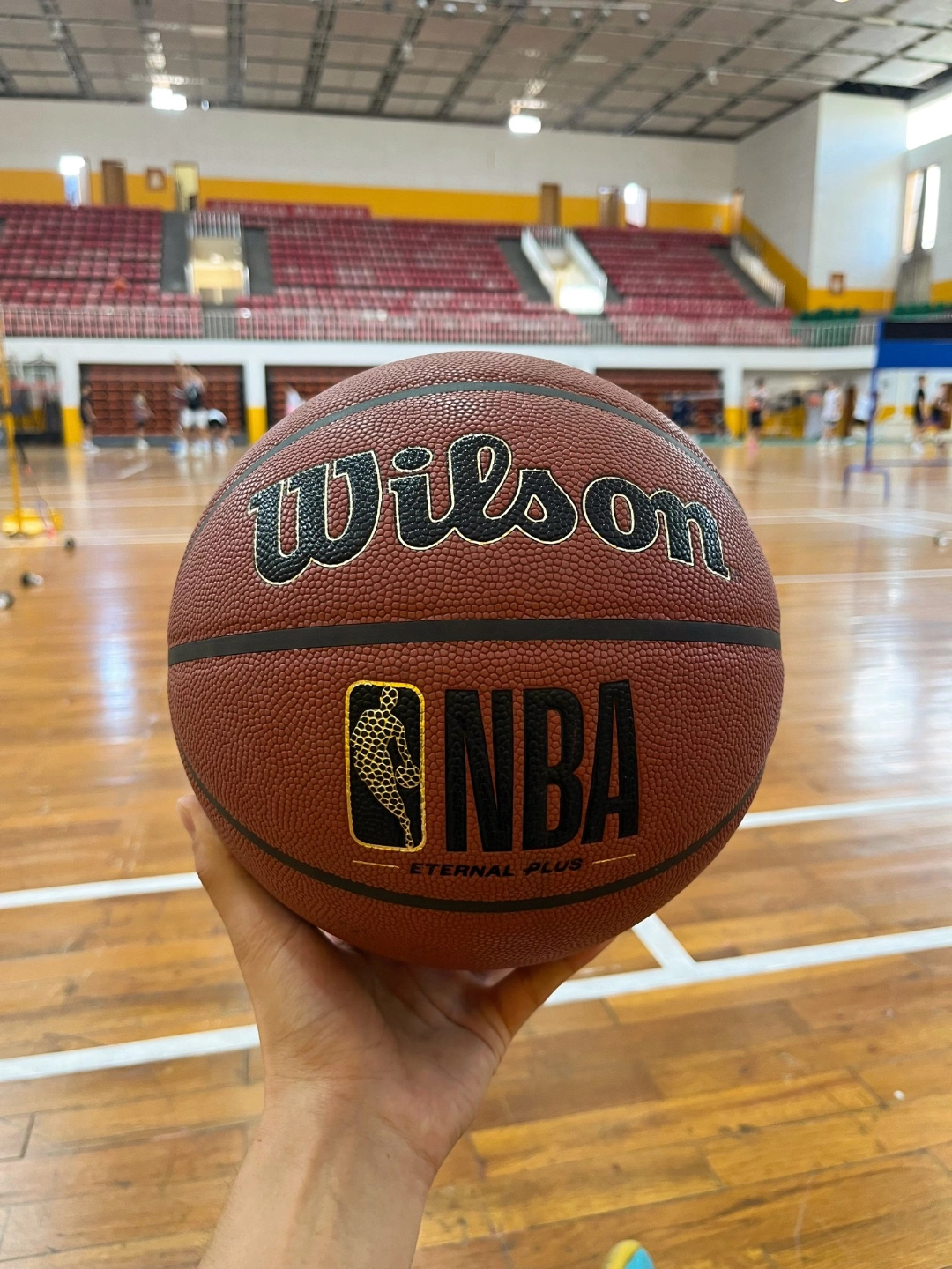 Wilson篮球原来这么能打❗️❗️❗️