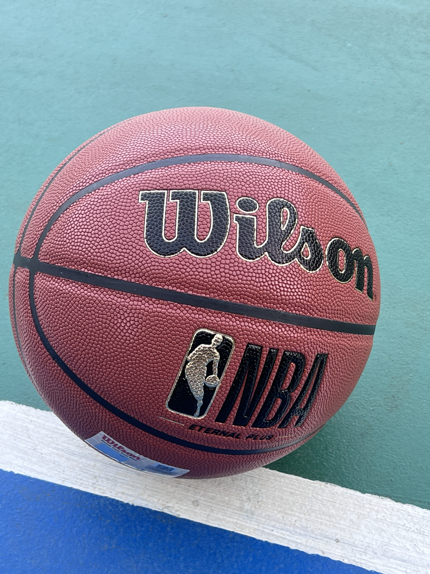 NBA专用球🏀｜威尔胜当家排面篮球推荐！