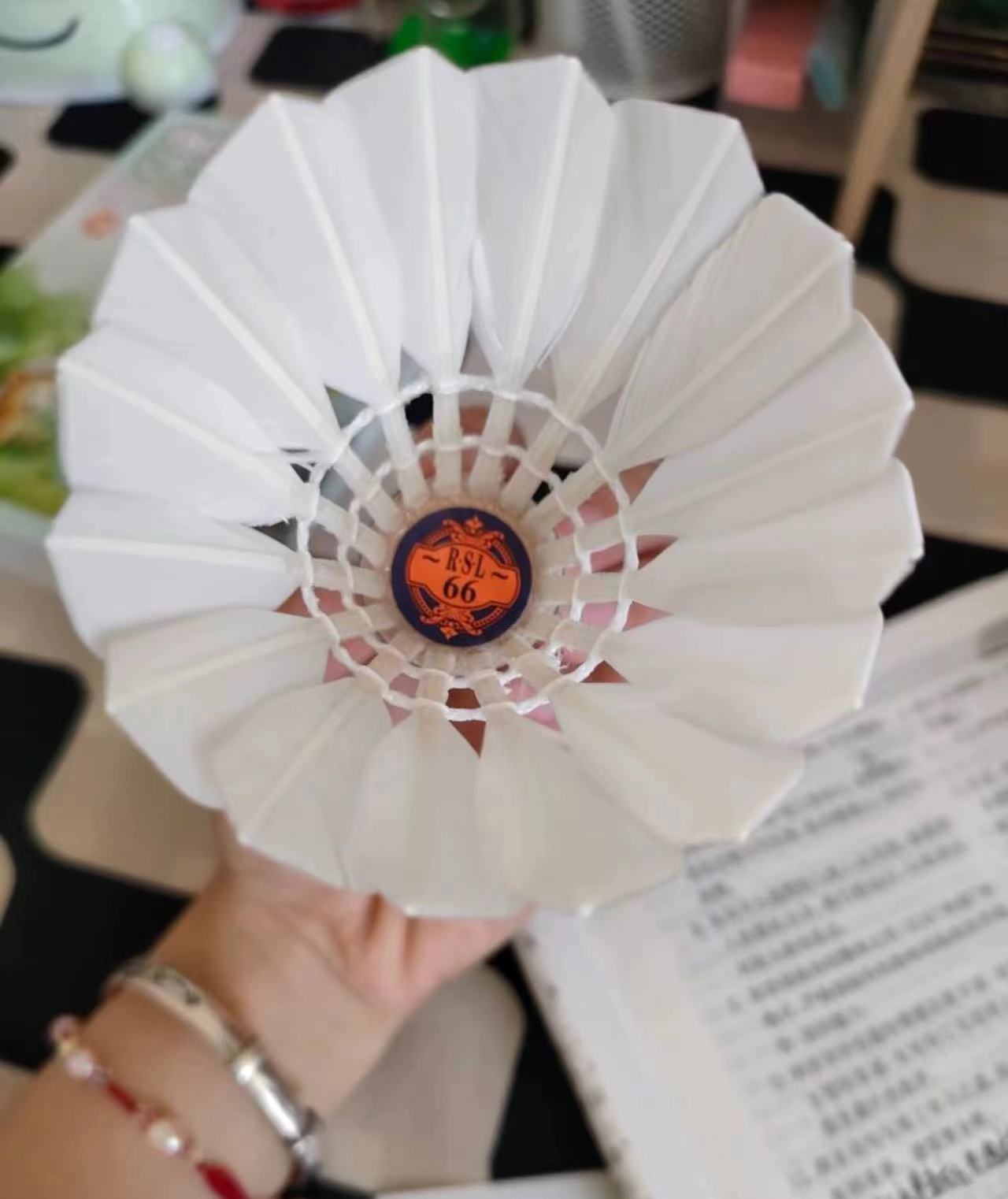 强推！适合学生用的羽毛球来啦😍