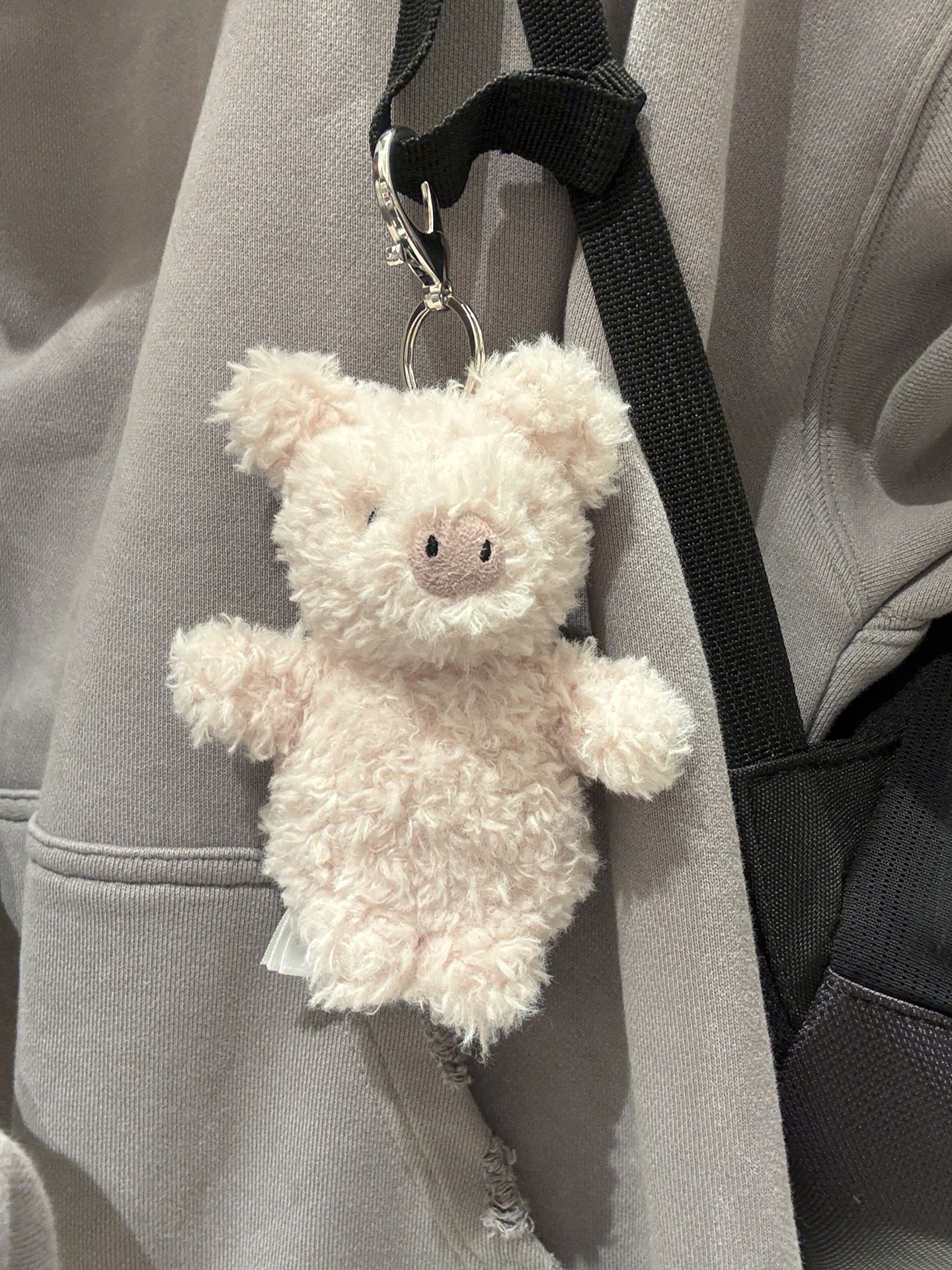 OMG！是我的jellycat小猪仔子！！