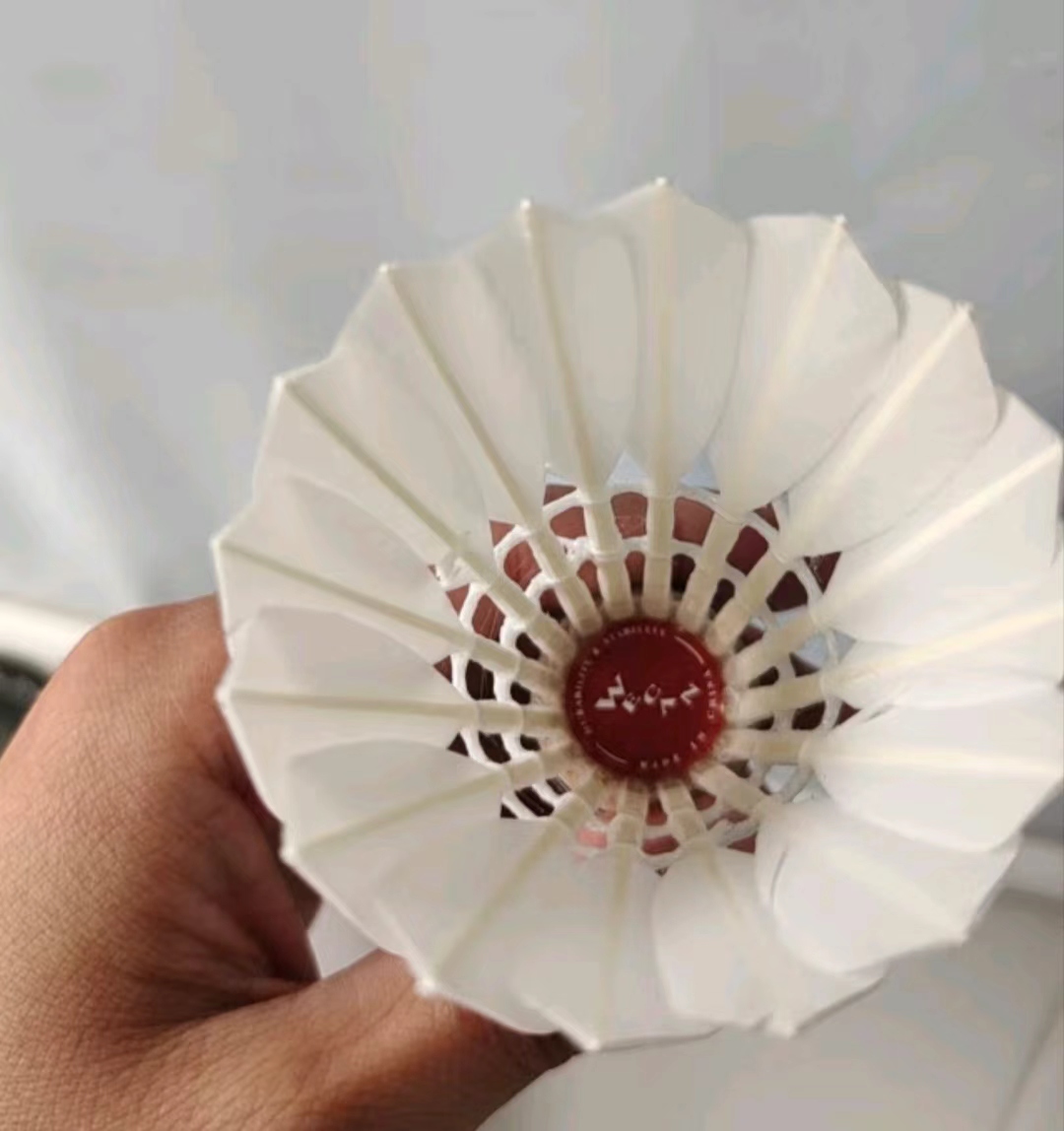 震惊！两小时坏七球，这是假球吧？