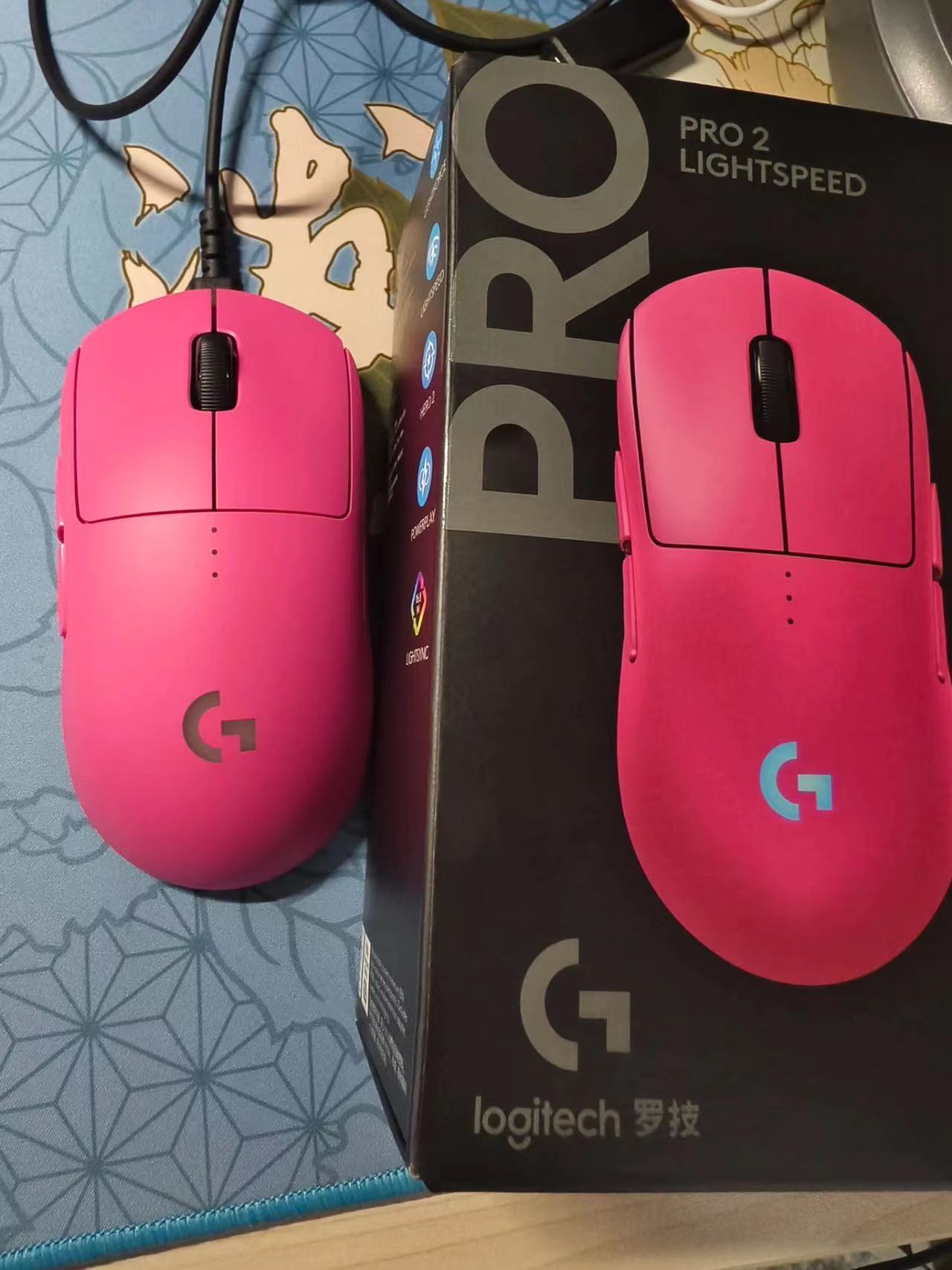 谁能拒绝狗屁王！我不信！