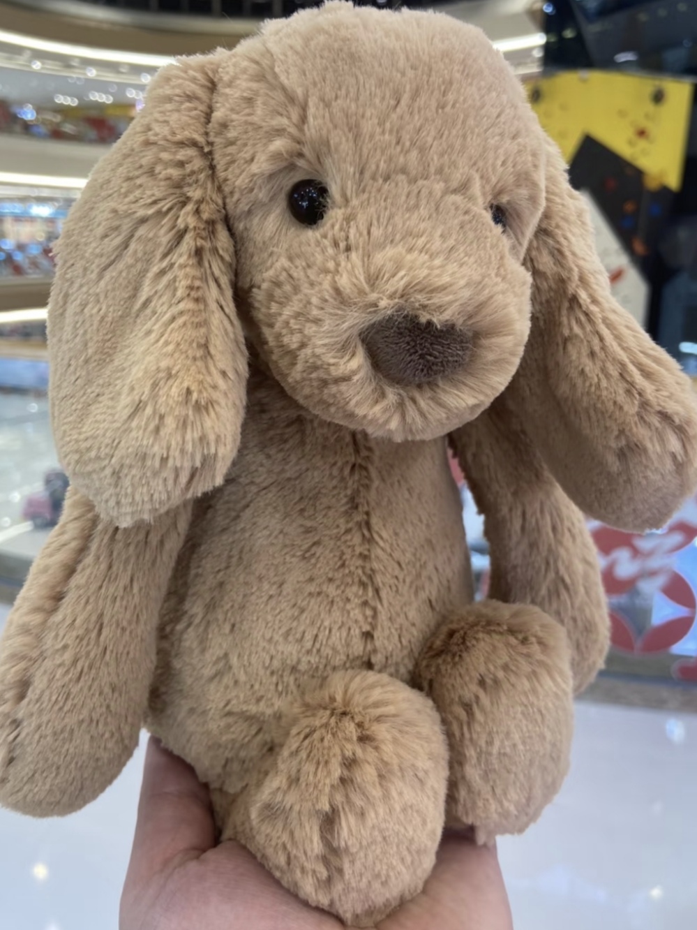 jellycat开箱｜太妃糖小狗，太可爱咯！！