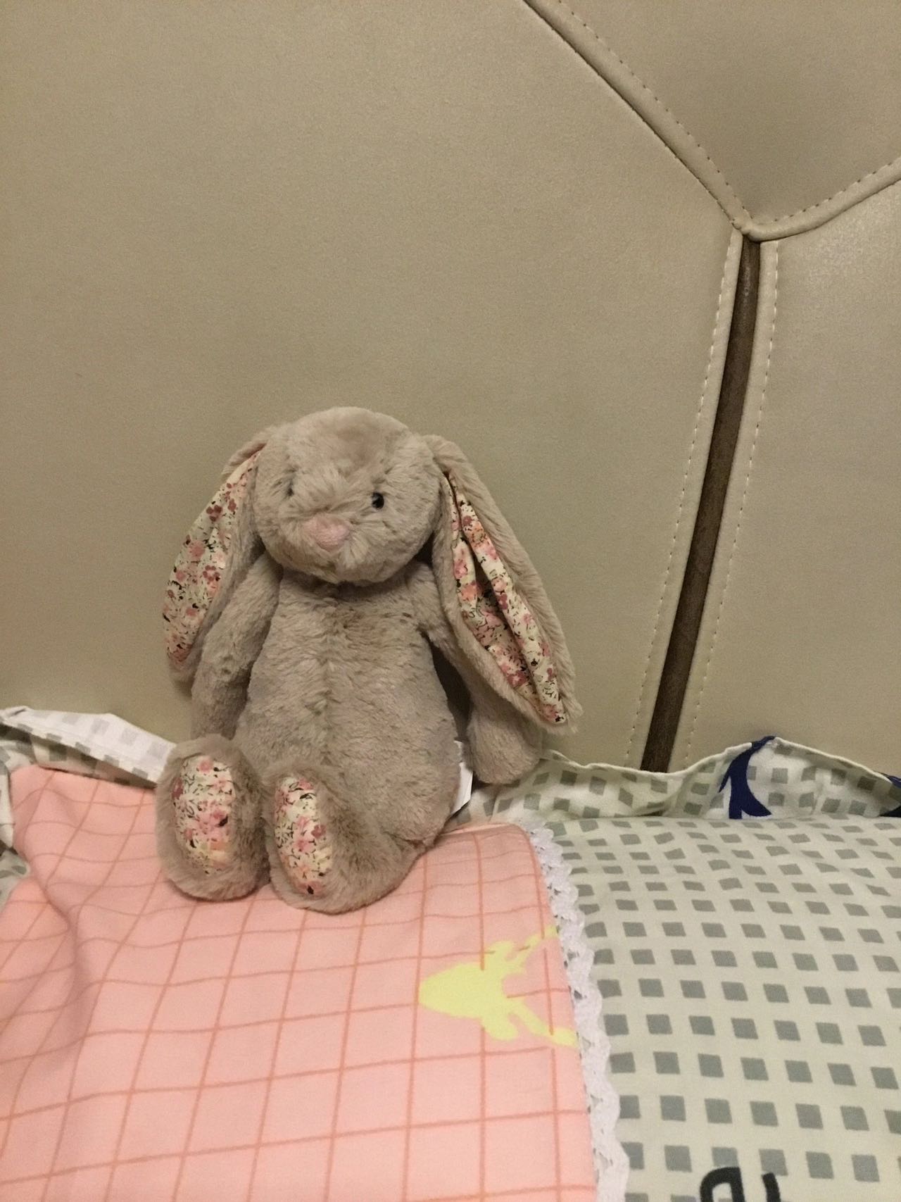 👌收到了Jellycat的兔兔！