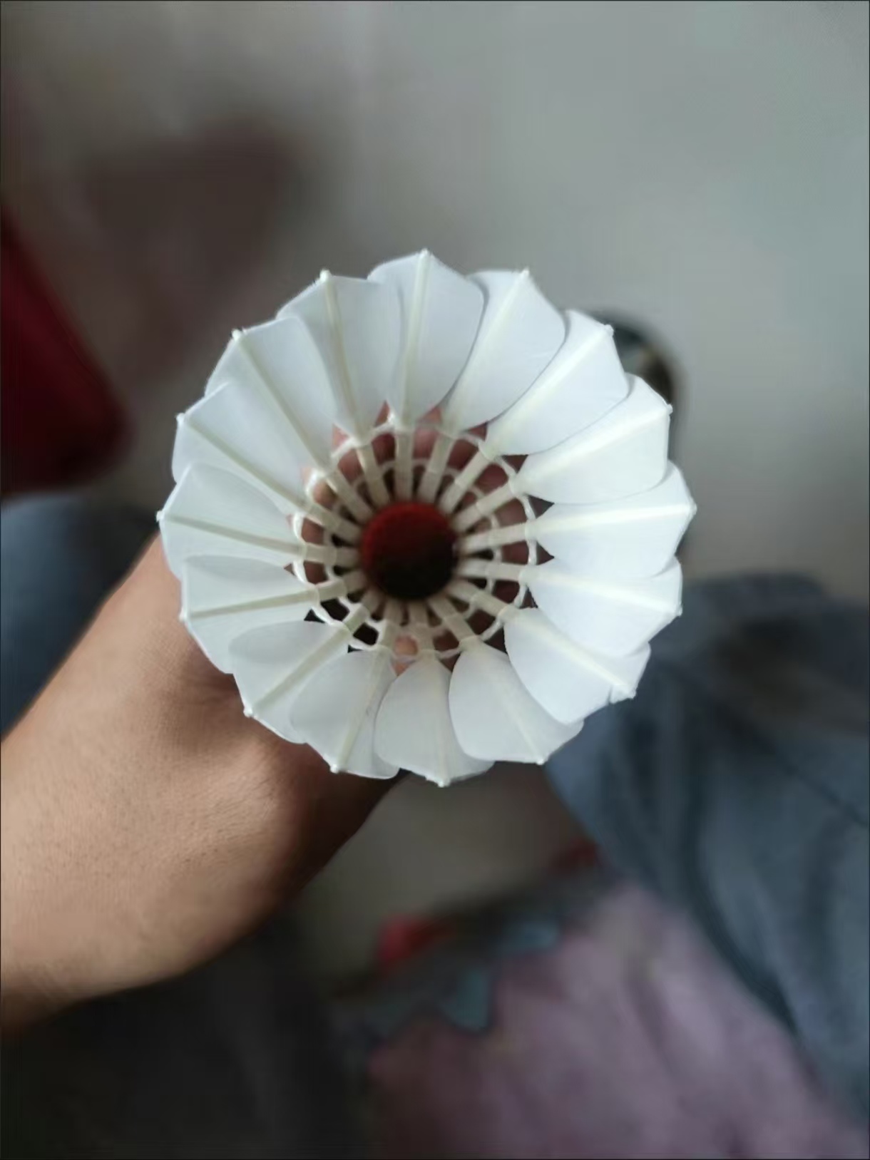 我的心尖尖羽球