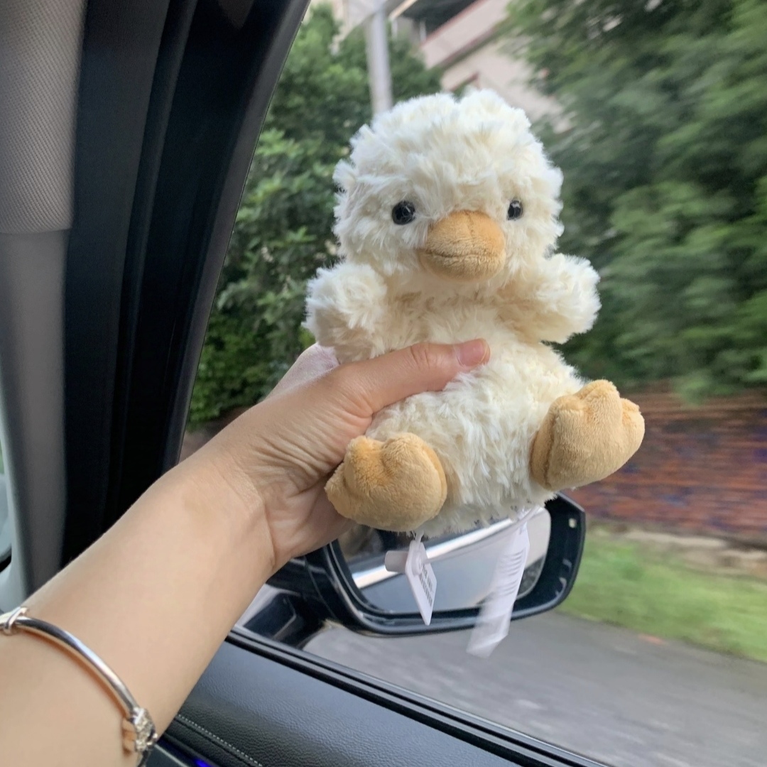 是谁的鸭崽崽这么可爱