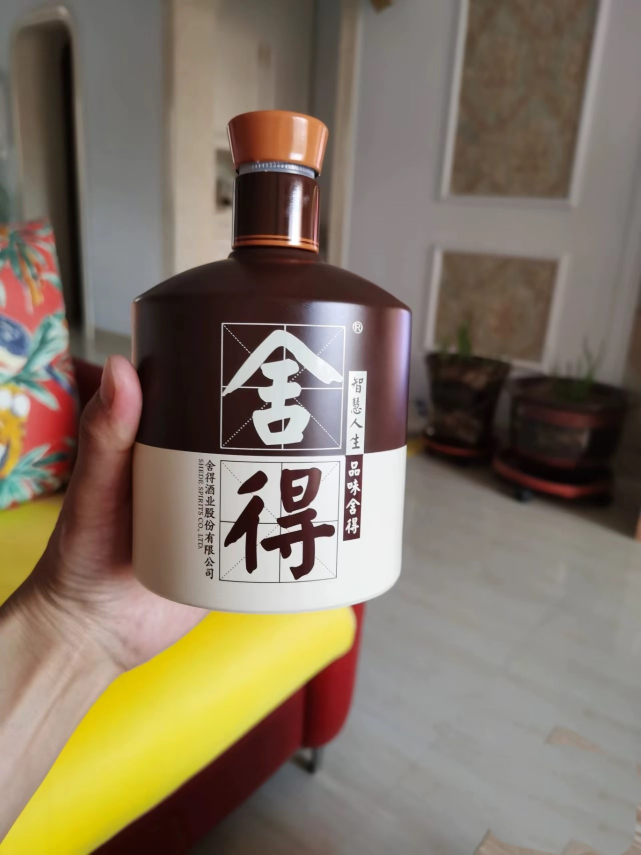 舍得酒：这个微醺老酒真是老少皆宜