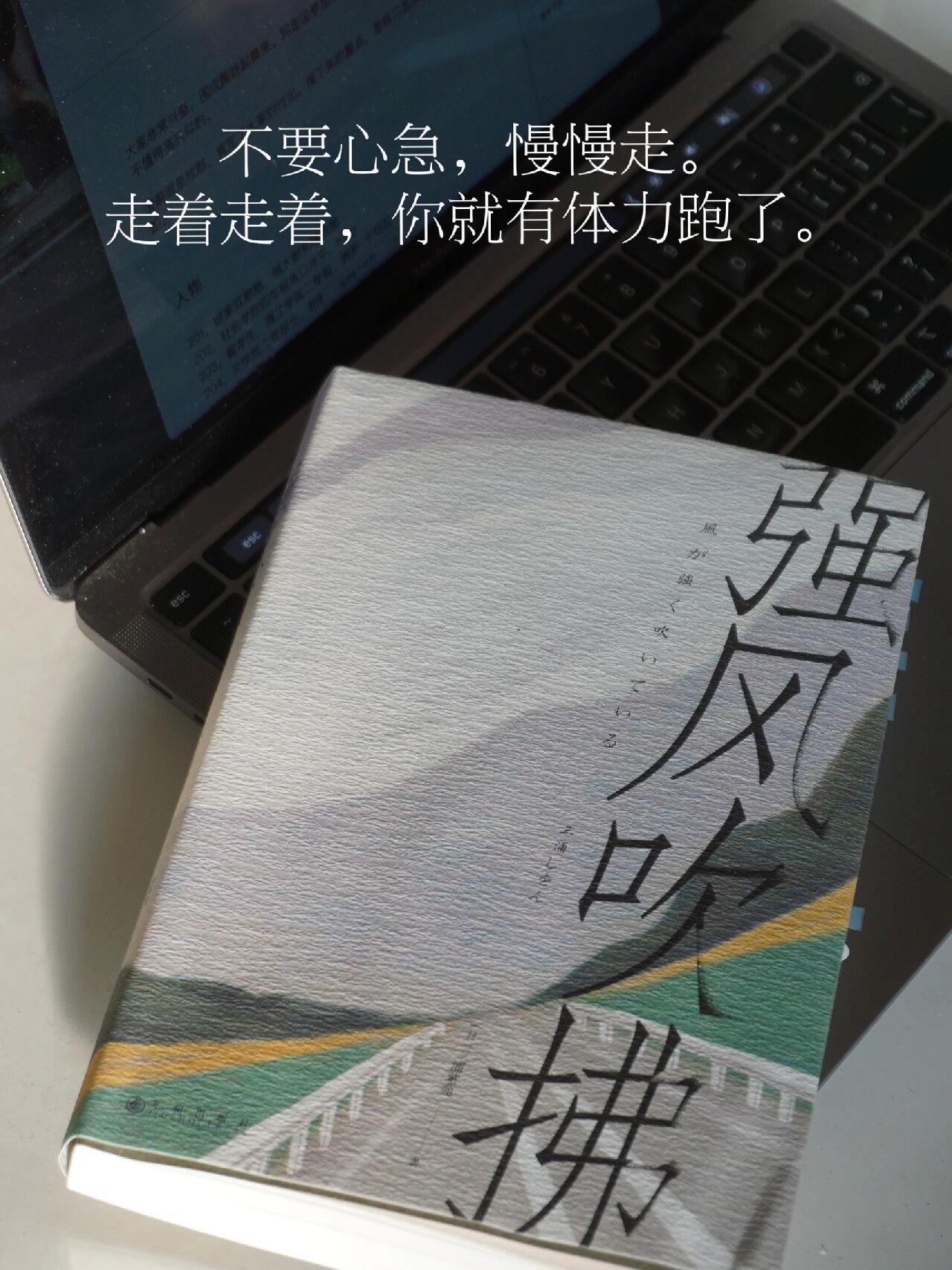 一天看完，热血又感动！