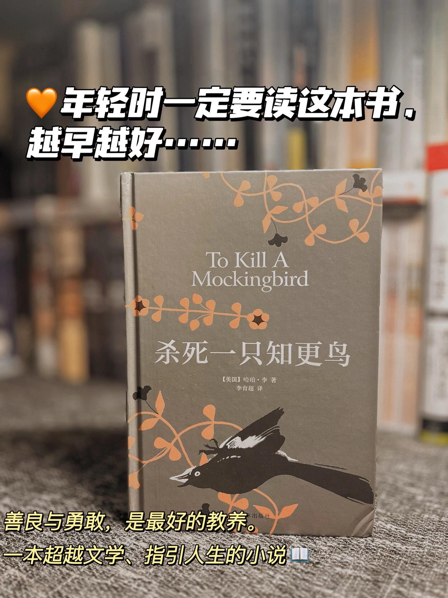 你的信仰与正义，更是温良🌱