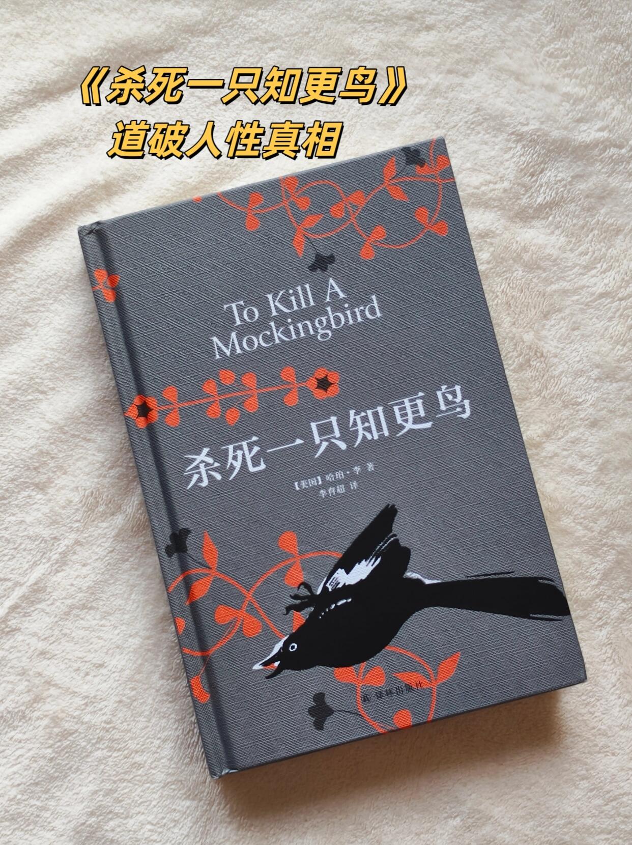 《杀死一只知更鸟》精华浓缩12句🔥