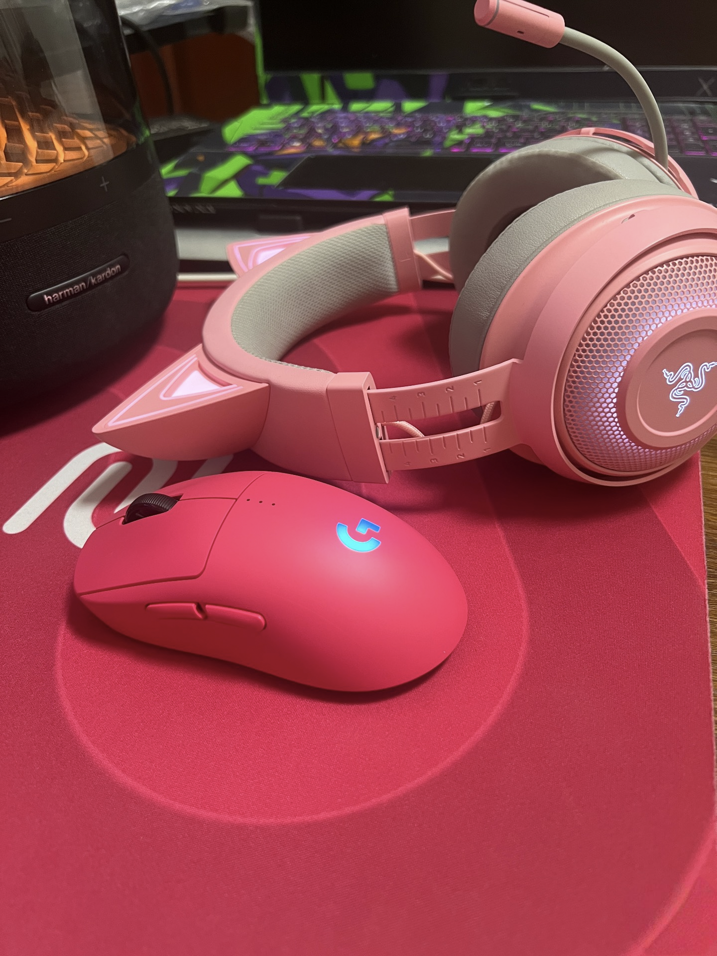 猛男就要用猛男粉！